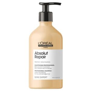 absolut-repair-loreal-500